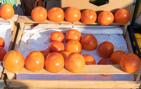 Persimmon at a fair for sale.Persimmon at a fair for saleの写真素材