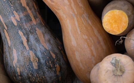 Pumpkin as background and texture.Pumpkin as background and textureの写真素材