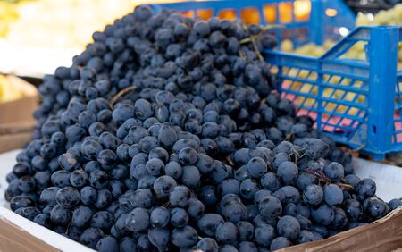 Grapes on the counter for sale.Grapes on the counter for sale.の写真素材