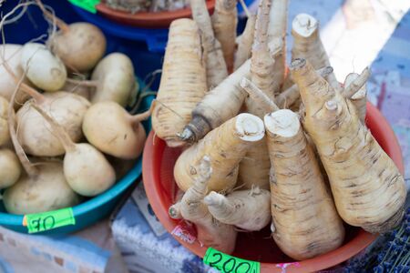 Horseradish on the counter for sale.Horseradish on the counter for saleの写真素材