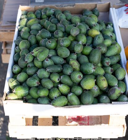 Feijoa in a box for sale.Feijoa in a box for saleの写真素材