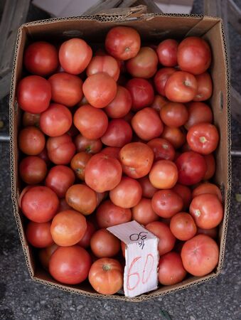 Tomatoes on the counter for sale.Tomatoes on the counter for sale.の写真素材