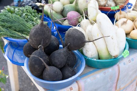 Radish on the counter for sale.Radish on the counter for sale