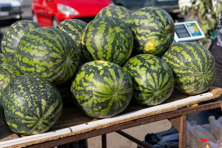 Watermelons at an Autumn Fair for Sale.Watermelons at an Autumn Fair for Saleの写真素材