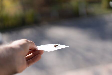 Hand holds a sheet of paper.Hand holds a sheet of paperの写真素材