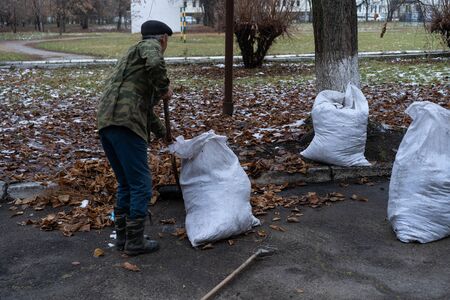 A man cleans and sweeps a yard.A man cleans and sweeps a yardの写真素材