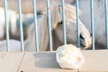 Zoo cage in which the animal.Zoo cage in which the animalの写真素材
