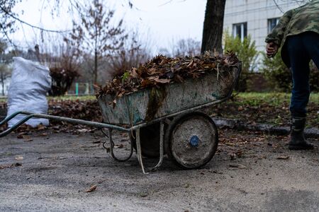 Janitor sweeping a broom yard.Janitor sweeping a broom yardの写真素材