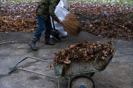 A man cleans and sweeps a yard.A man cleans and sweeps a yardの写真素材
