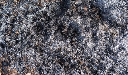 Ash from a fire after a burned out garbage