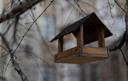 Bird feeder hanging on a treeの写真素材