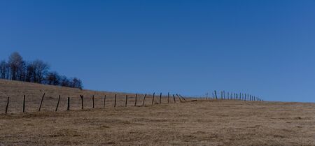 Wooden fence in the field