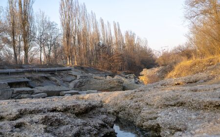 Mountain river surrounded by stones and trees