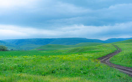 The path in the mountains goes beyond the horizon