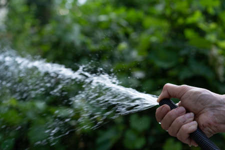 Hands water the garden with water from a hose