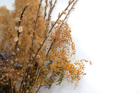 Ekibana.Flowers on a white backgroundの写真素材