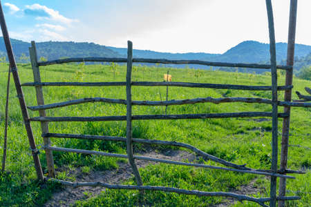 The gate leading in the fieldの写真素材