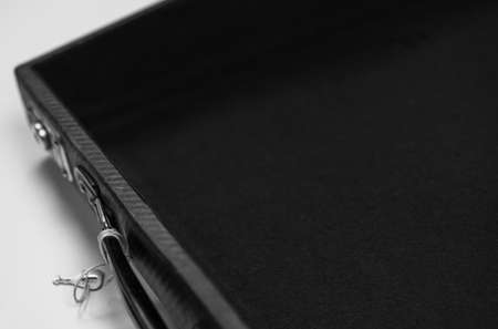 Accordion case on a white background