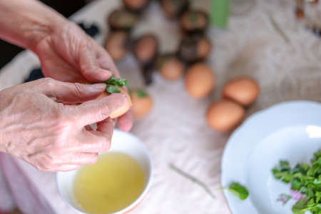 Eggs are prepared for painting and ornamenting for Easterの写真素材