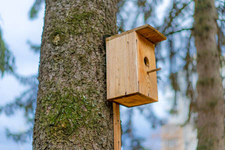 Birdhouse for birds mounted on a tree