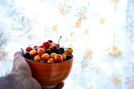 Cherry in the dishes in the hands