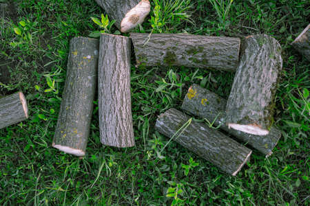 Firewood lies on the grass