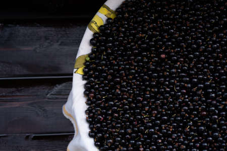 Black currant on a tray on a wooden backgroundの写真素材