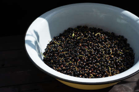 Currants in a container for cooking jamの写真素材