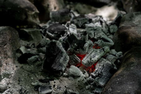 Embers of a burnt campfire tree