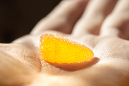 Fruit jelly on the palmの写真素材