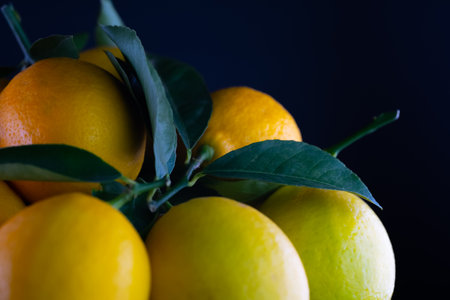 Ripe lemons with twigs and leavesの写真素材