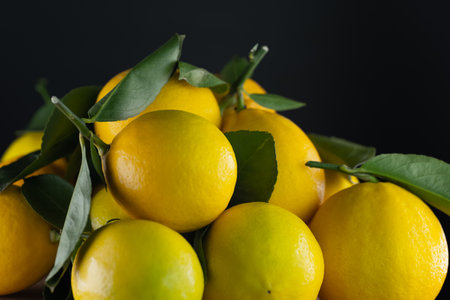 Many lemons on a black backgroundの写真素材
