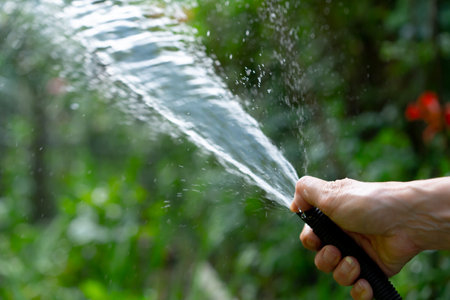 Hose water for watering plantsの写真素材