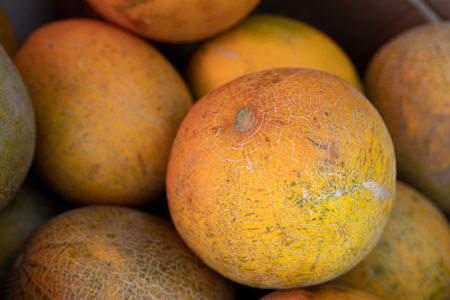 Melons as background or textureの写真素材