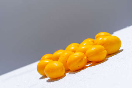 Apricots with water drops on white backgroundの写真素材