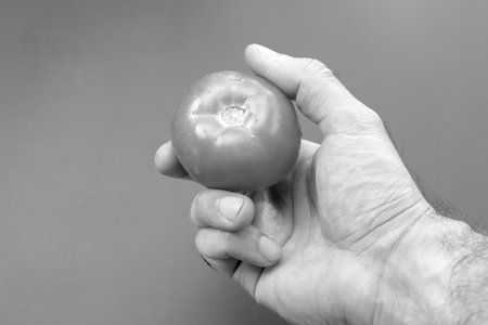Ripe tomato in human handsの写真素材