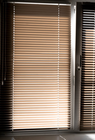 Window blinds that let in sunlightの写真素材