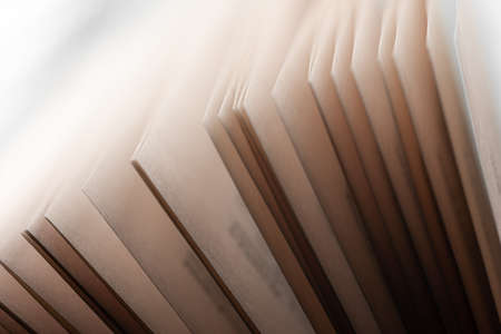 Pages of an open book in rays of lightの写真素材