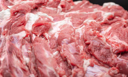 Fresh piece of raw meatの写真素材