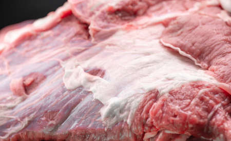 Fresh piece of raw meatの写真素材