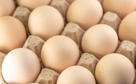 The eggs are in the cellsの写真素材