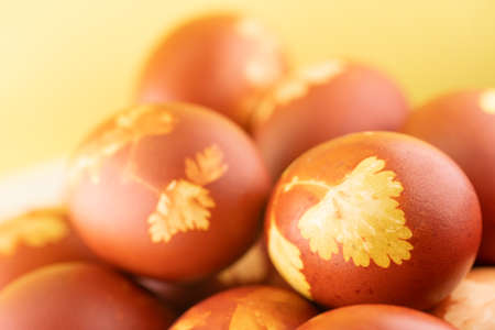 Painted eggs for the Easter holidayの写真素材