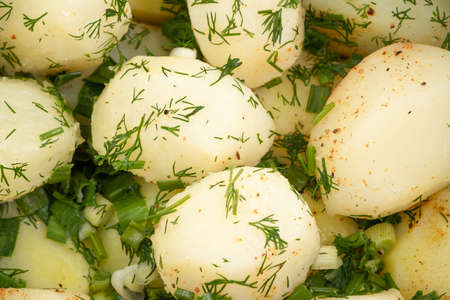 Boiled potatoes as background or textureの写真素材