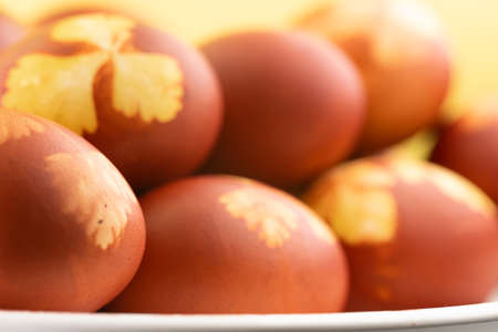 Painted eggs for the Easter holidayの写真素材