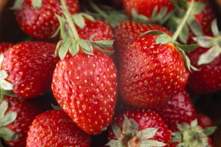 Ripe strawberries as background or textureの写真素材