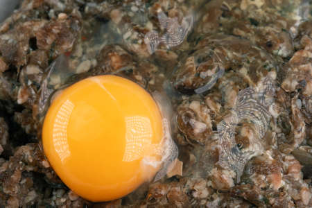 Egg and minced meat for making catletの写真素材