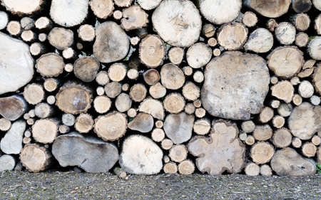 Logs stacked on top of each otherの写真素材