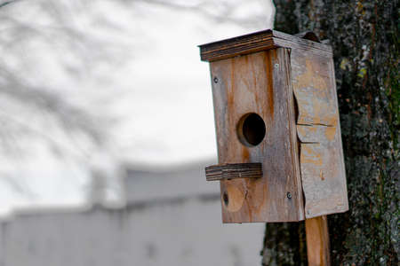 Birdhouse for birds fixed on a treeの写真素材