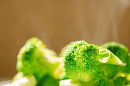 Hot broccoli are allowed to cool in the airの写真素材