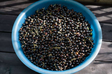 Ripe currants on wooden backgroundの写真素材